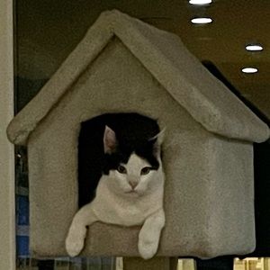 Meet your Posher, Zack